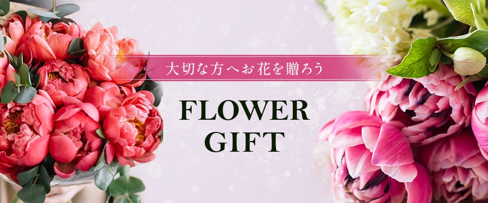 MVスライダー 02