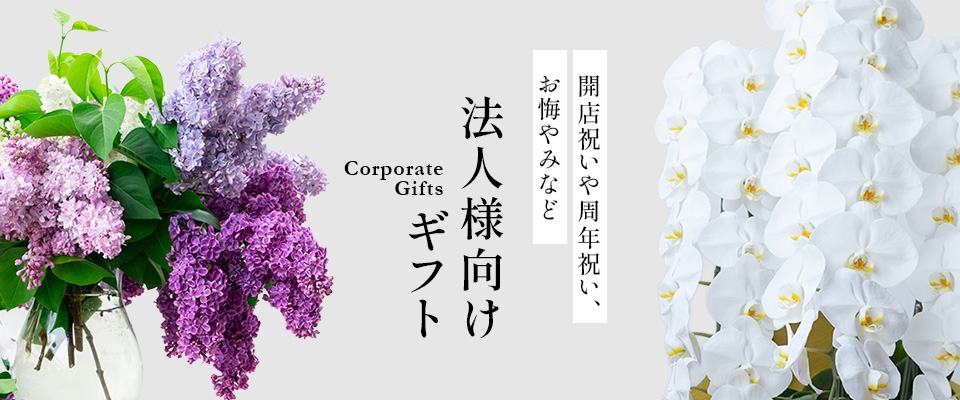 MVスライダー 03